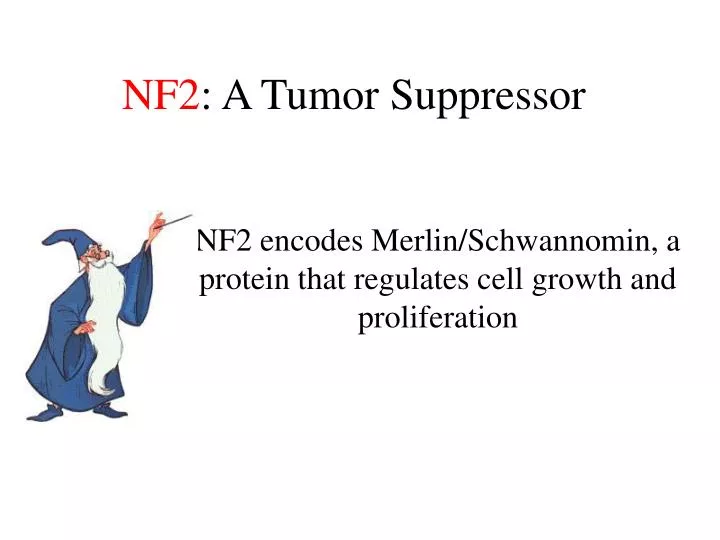 nf2 a tumor suppressor