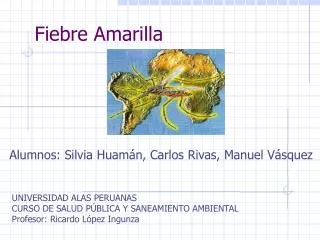 fiebre amarilla
