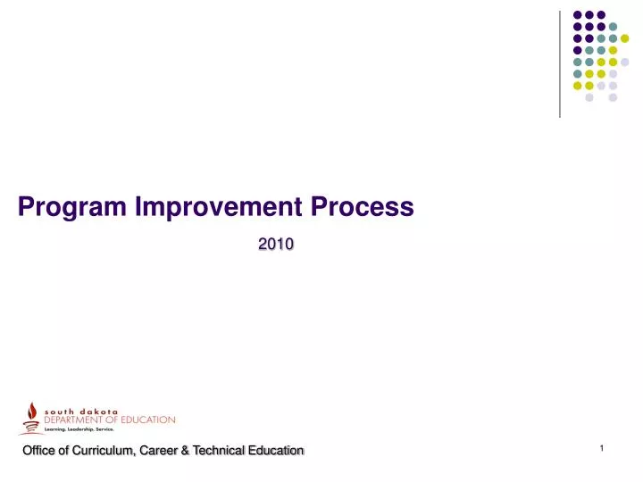 program improvement process