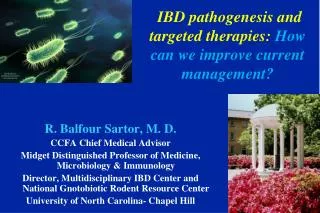 IBD pathogenesis and targeted therapies: How can we improve current management?