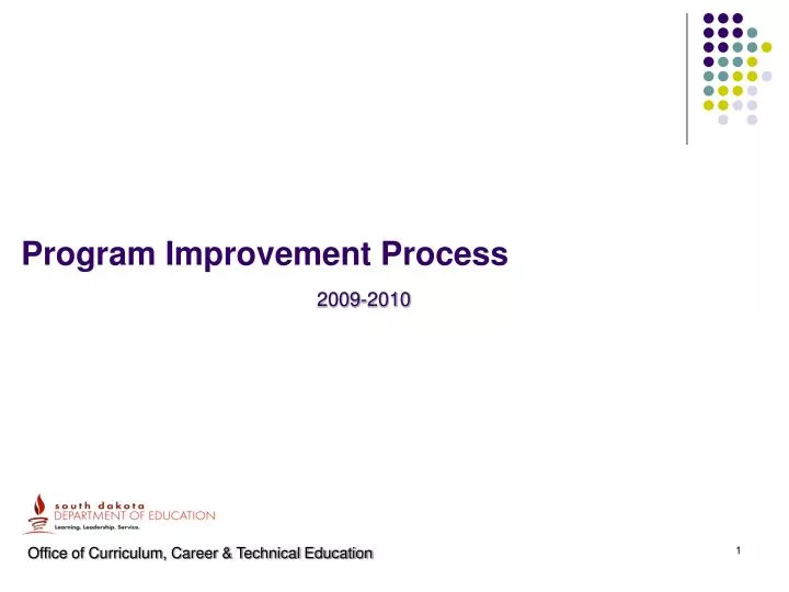 program improvement process