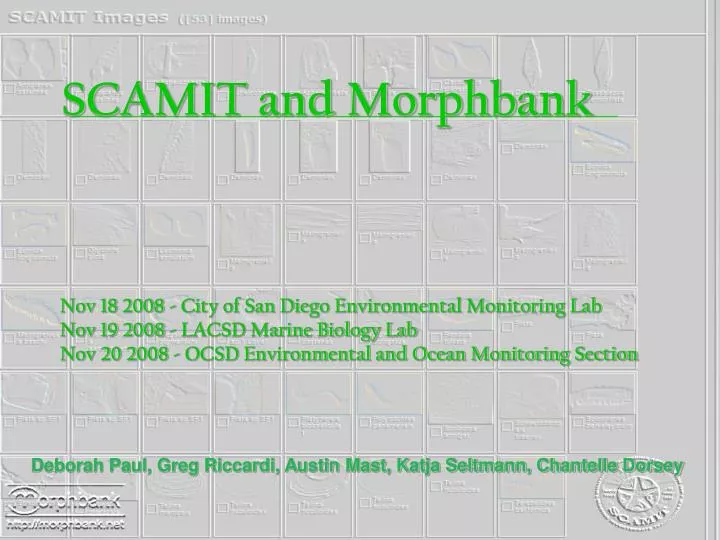 scamit and morphbank