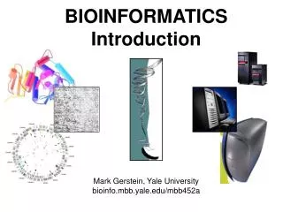 BIOINFORMATICS Introduction