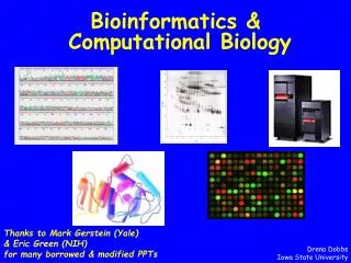 Bioinformatics &amp; Computational Biology