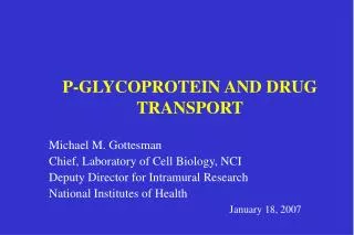 P-GLYCOPROTEIN AND DRUG TRANSPORT