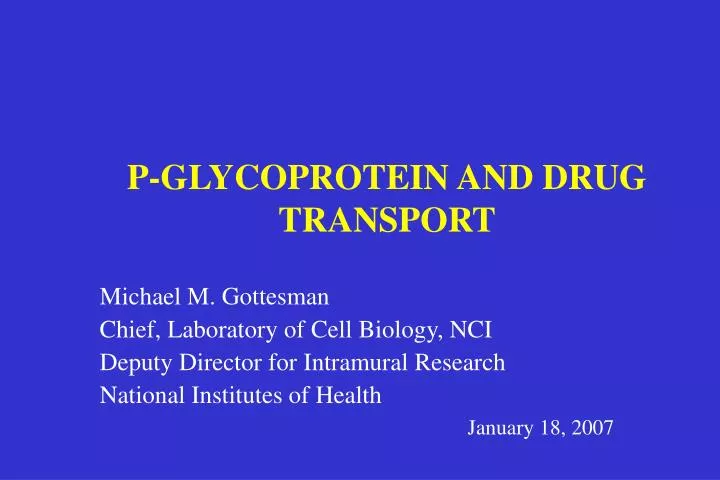 p glycoprotein and drug transport