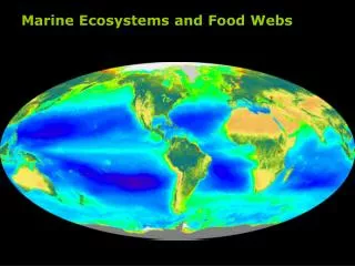 Marine Ecosystems and Food Webs