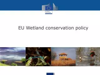 EU Wetland conservation policy