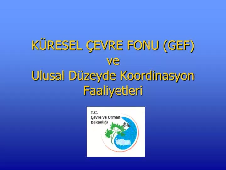 k resel evre fonu gef ve ulusal d zeyde koordinasyon faaliyetleri