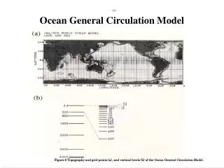 Ocean General Circulation Model