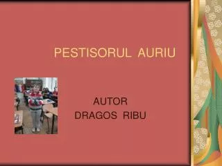 PESTISORUL AURIU