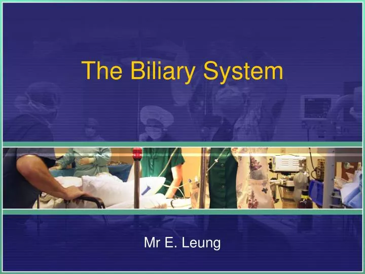 the biliary system