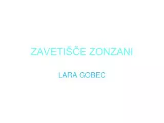 zaveti e zonzani