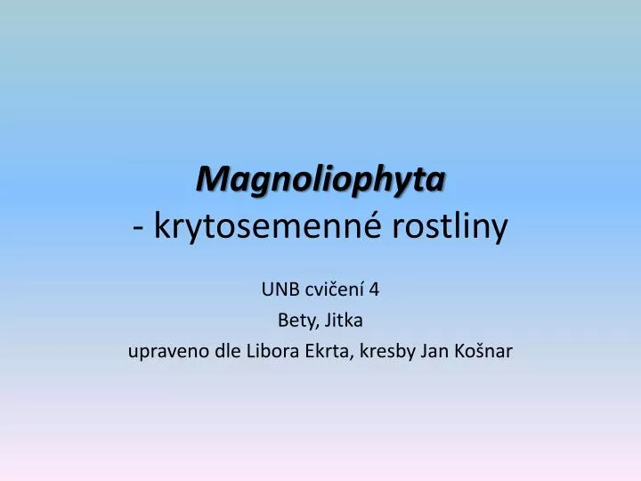 magnoliophyta krytosemenn rostliny