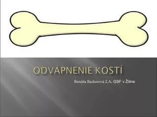 ren ta badurov 2 a gsf v iline
