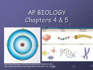 AP BIOLOGY Chapters 4 &amp; 5