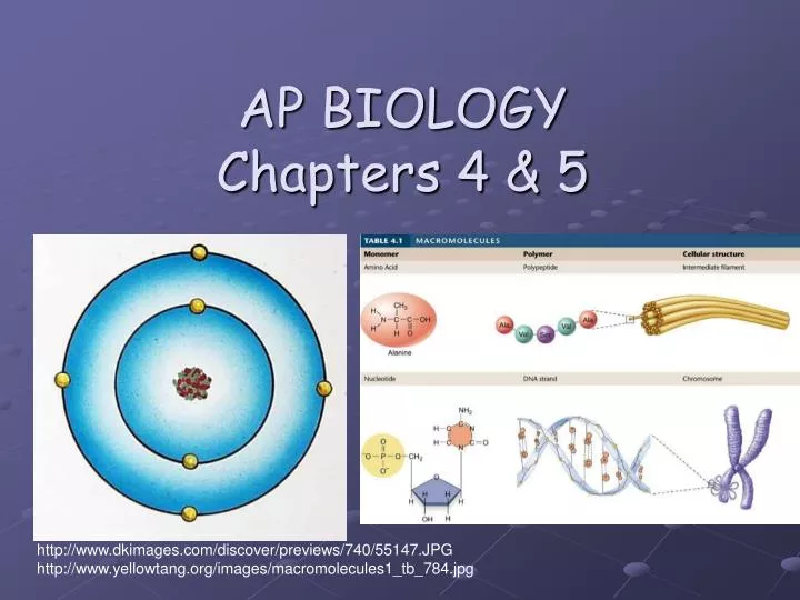 ap biology chapters 4 5