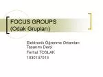 FOCUS GROUPS (Odak Grupları)