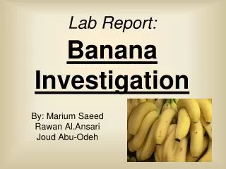 Lab Report: Banana Investigation