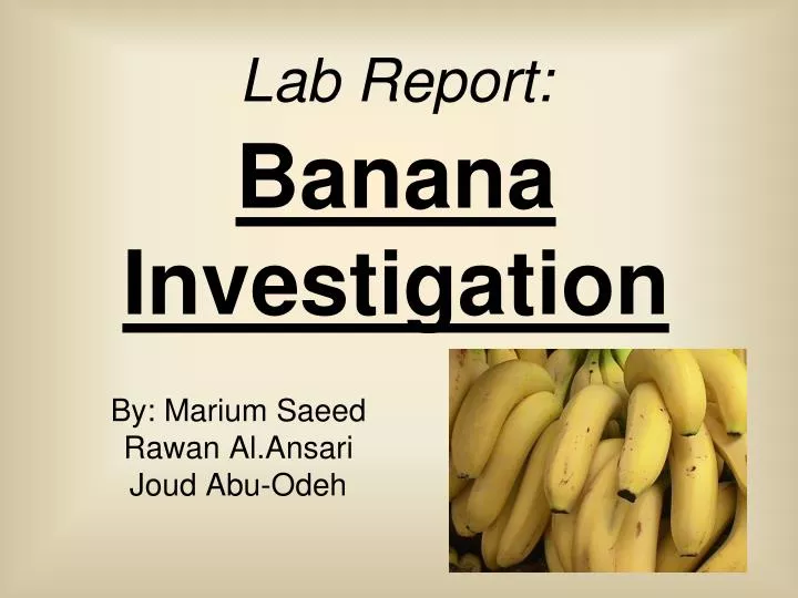 lab report banana investigation