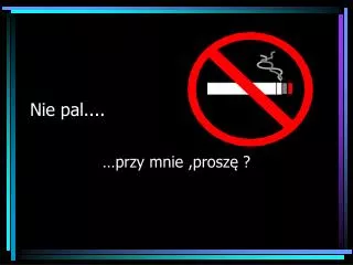 nie pal