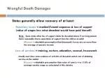 Wrongful Death Damages - slide 1