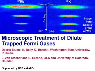 Microscopic Treatment of Dilute Trapped Fermi Gases
