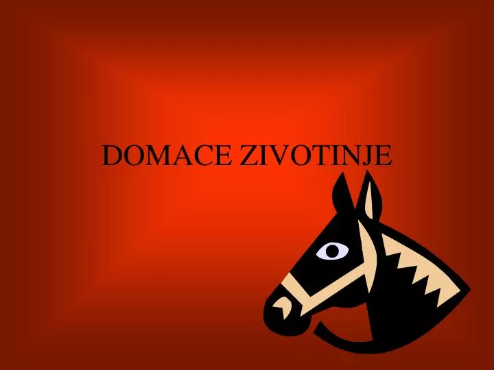 domace zivotinje