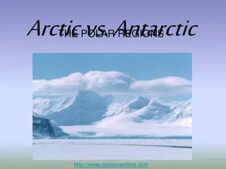 Arctic vs. Antarctic