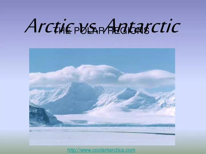 arctic vs antarctic