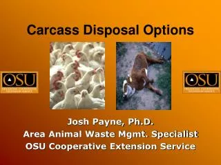 Carcass Disposal Options