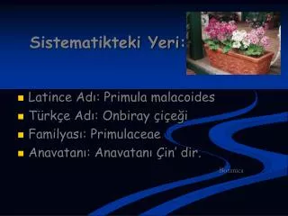 sistematikteki yeri