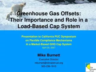 Greenhouse Gas Offsets: Their Importance and Role in a Load-Based Cap System