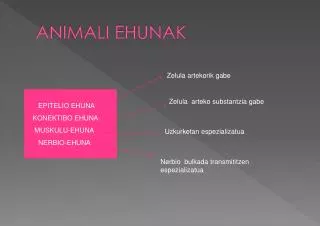 animali ehunak