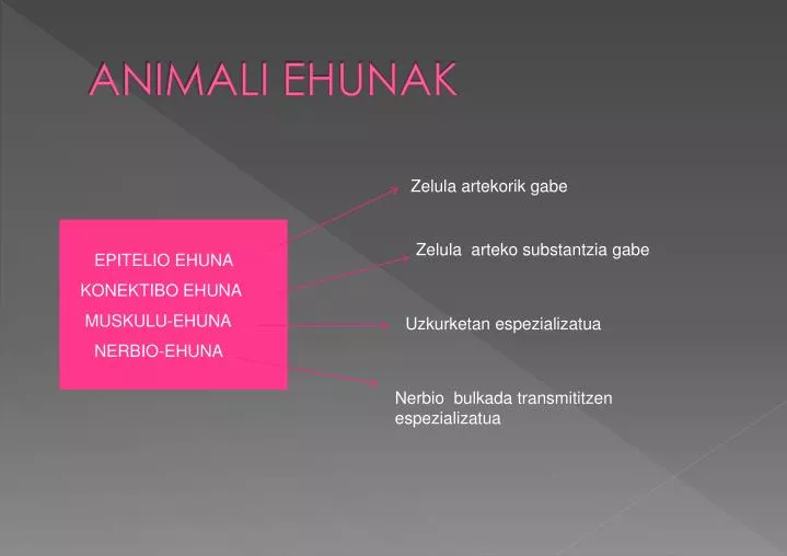 animali ehunak