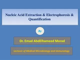 Nucleic Acid Extraction &amp; Electrophoresis &amp; Quantification