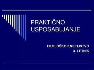 prakti no usposabljanje
