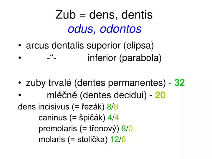 zub dens dentis odus odontos
