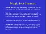 Pelagic Zone Summary - slide 1