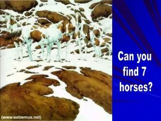 Can you find 7 horses?