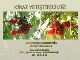 k raz yet t r c l
