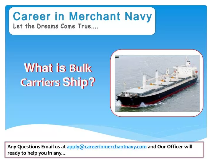 what is bulk carriers ship