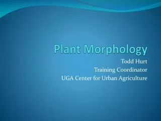 Plant Morphology