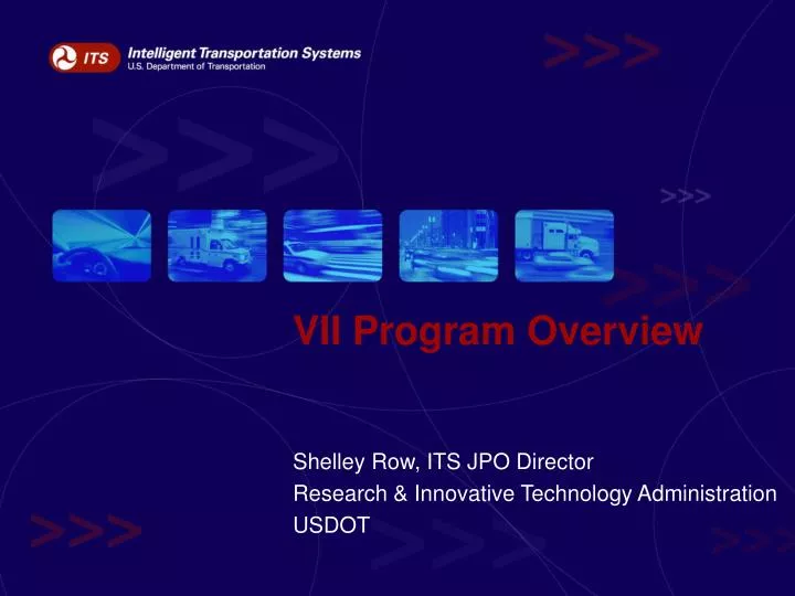 vii program overview