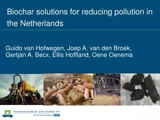 Biochar solutions for reducing pollution in the Netherlands