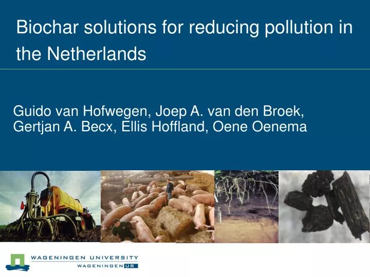 biochar solutions for reducing pollution in the netherlands
