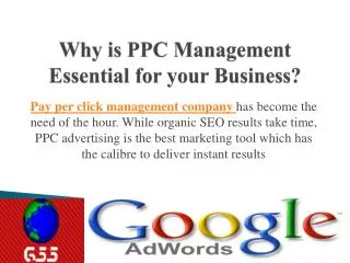Global SEO Services- Need of PPC Mangement Company