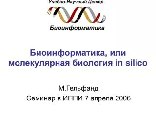 in silico