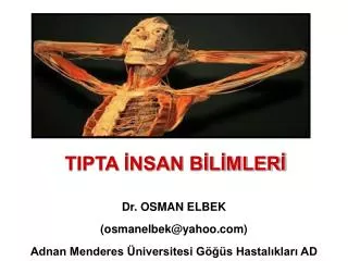 tipta nsan b l mler