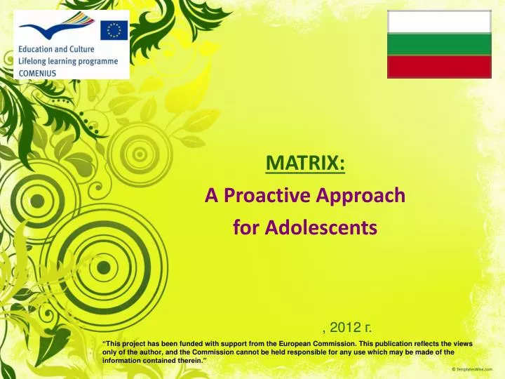 matrix a proactive approach for adolescents